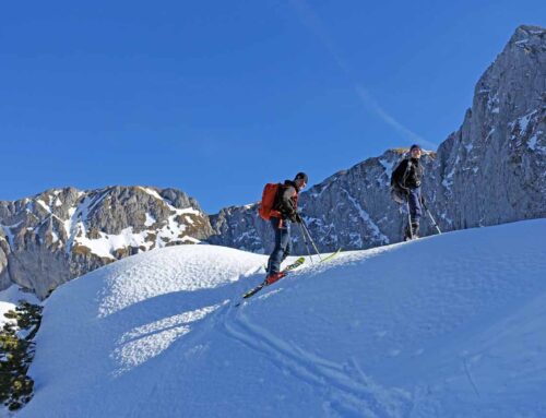 Skitour auf den Hochkarfelderkopf